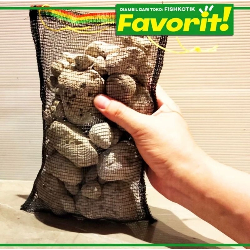 Media Filter Batu Apung Rahasia Air Jernih Kolam Ikan Sehat Besar