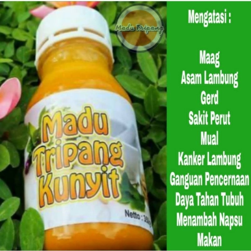 

Madu Tripang Kunyit Original Herbal