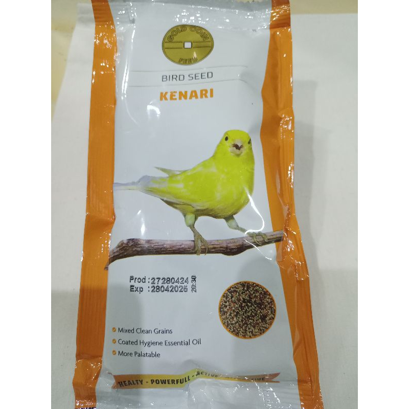 Pakan burung kenari // gold coin kenari