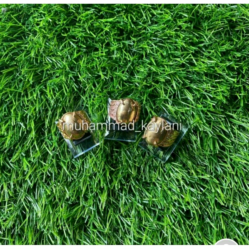 cincin batu akik wesi kuning kursani (N)