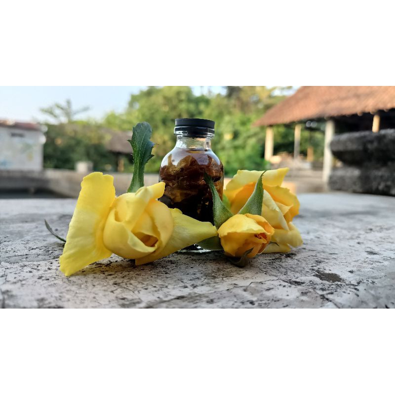 

VCO kenanga mawar kuning