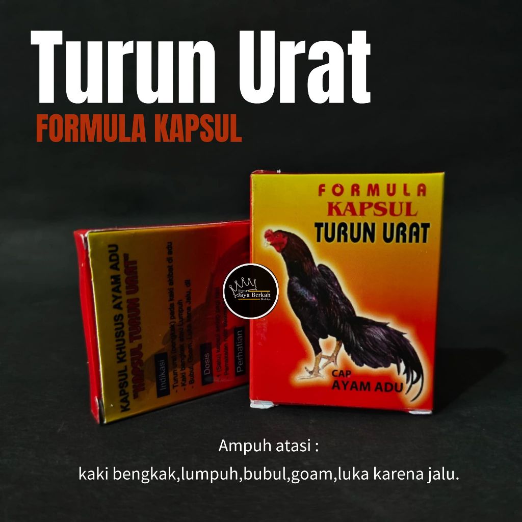 OBAT AYAM TURUN URAT FORMULA KAPSUL TURUN URAT ORIGINAL HOLOGRAM OBAT JAMU AYAM JAGO BANGKOK ADUAN K
