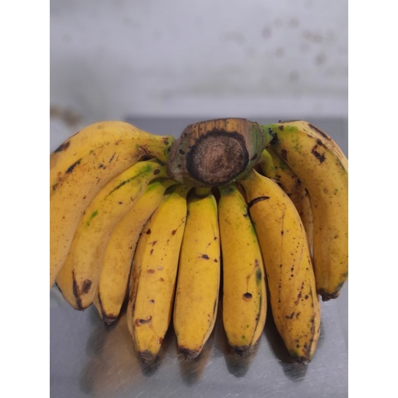 

Pisang Raja Bulu 1,9 kg