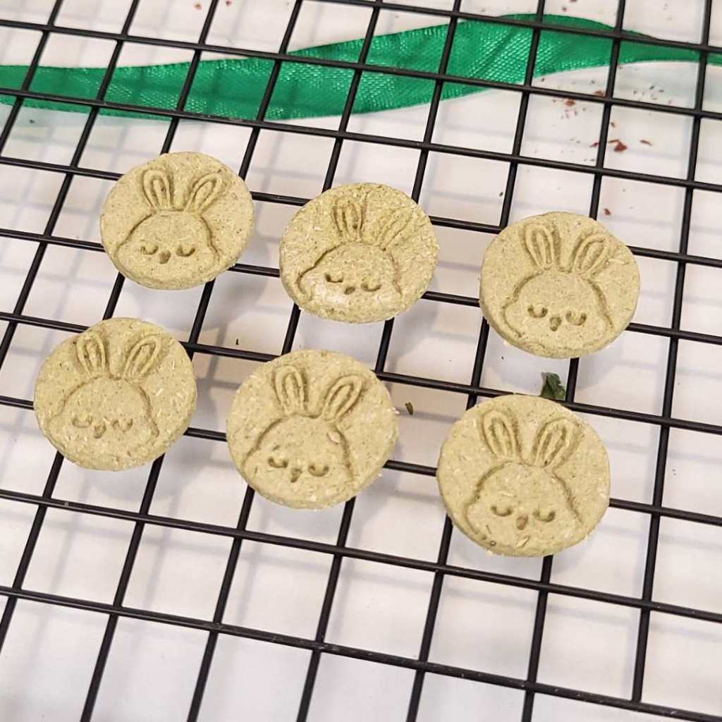 Healthy Coin with Optimus Pet - Snack sehat Kelinci, Marmut, Hamster, dan Chinchilla