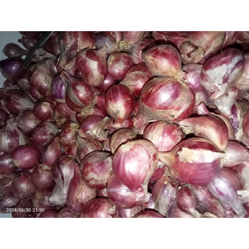 

Bawang Merah Situbondo