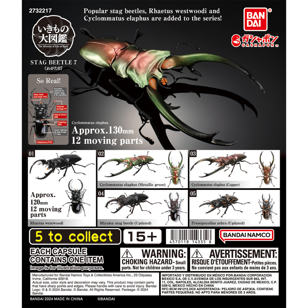 Gashapon Stag Beetle The Diversity of Life on Earth Serangga Kumbang Bandai