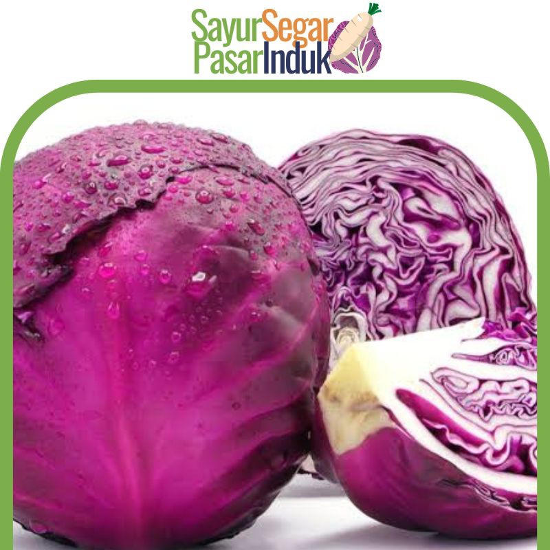 

Kol Ungu 500g Sayur Bandungan kubis merah gobes ungu sayursegarpasarinduk