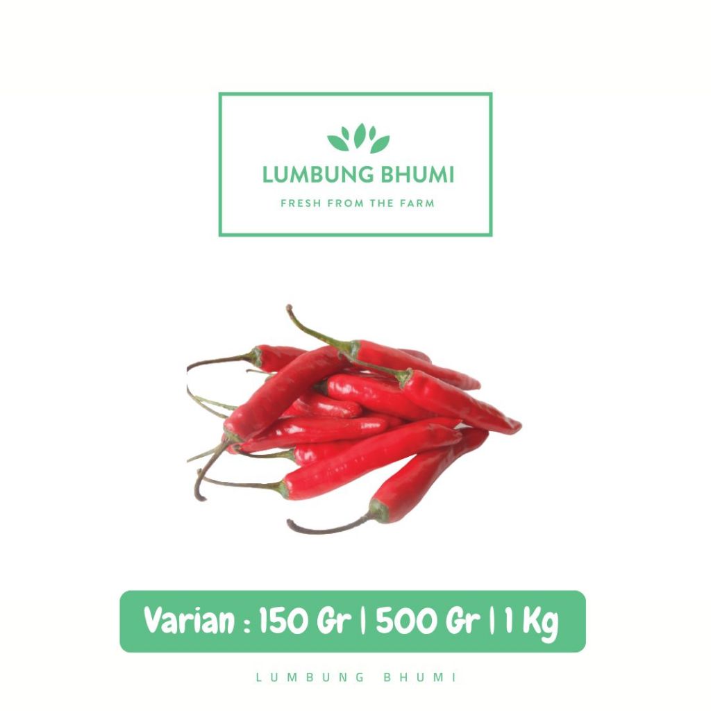 

Cabe Merah Besar Sayur - Lumbung Bhumi
