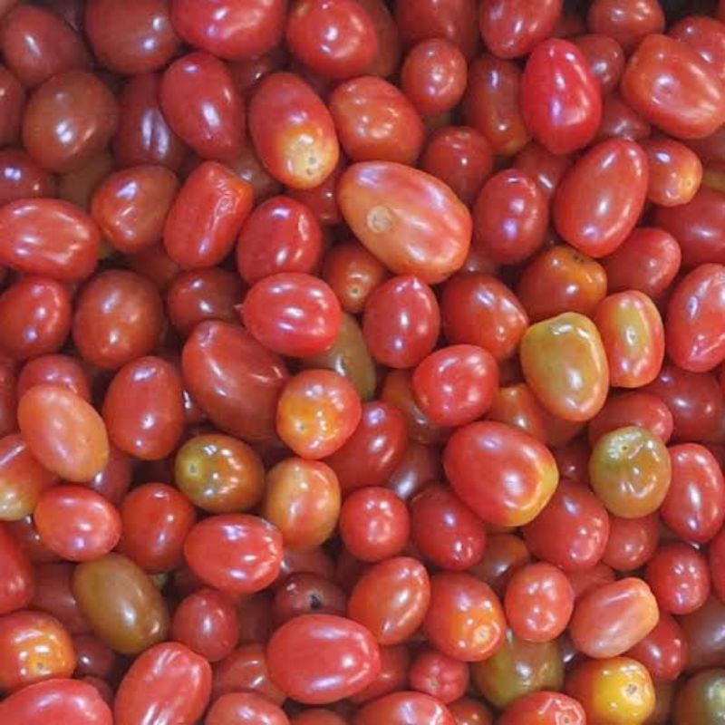 

tomatchery