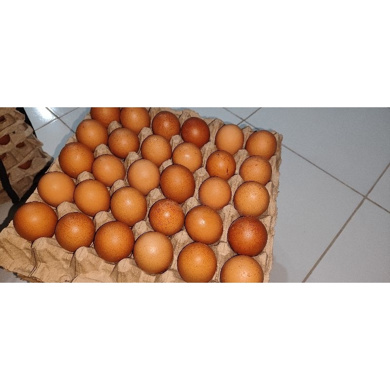 

Telur ayam 1kilo gram