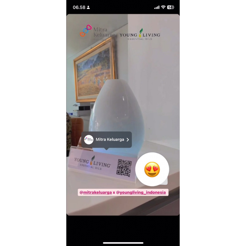 LUSTRE ARTISAN DIFFUSER YOUNG LIVING