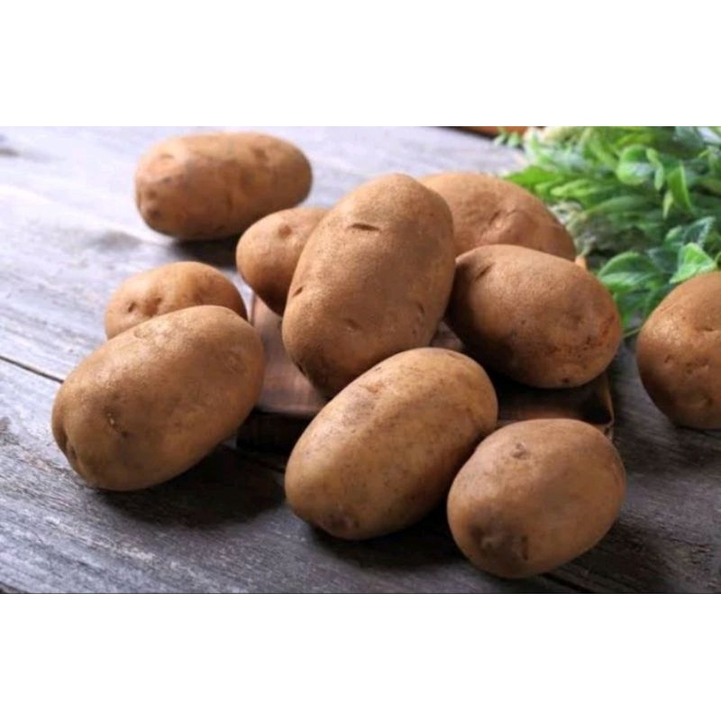 

kentang fresh 1kg