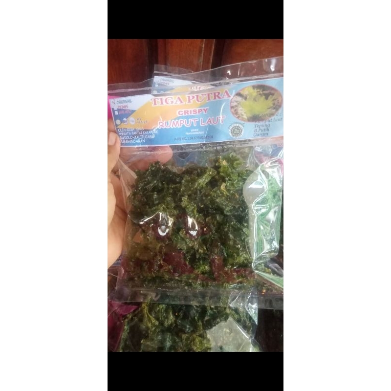 

rumputLautGoreng