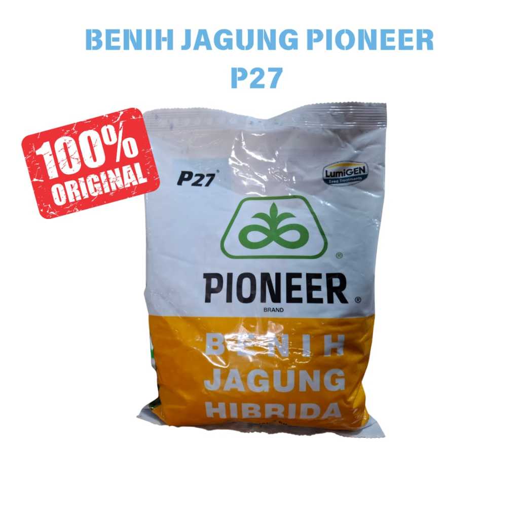 Benih Jagung Pioneer P27 Lumigen