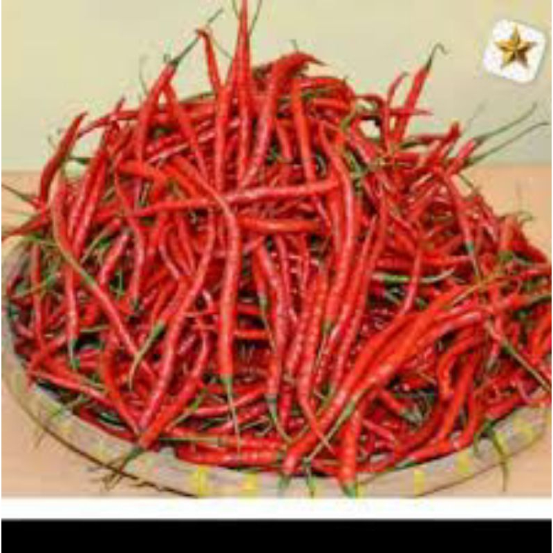 

cabai merah kriting