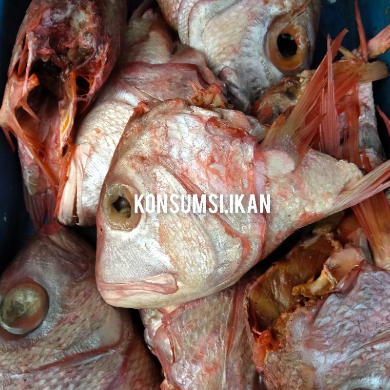 

Kepala Kakap