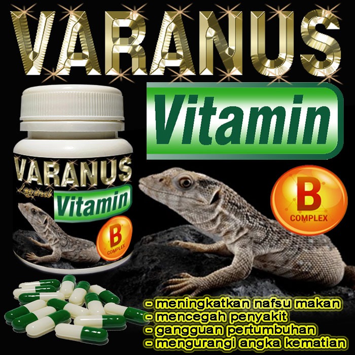 VARANUS VITAMIN BUBUK KAPSUL OBAT MENYEMBUHKAN GANGGUAN PERTUMBUHAN VARANNUS SALVATOR SALVADORI LIZA