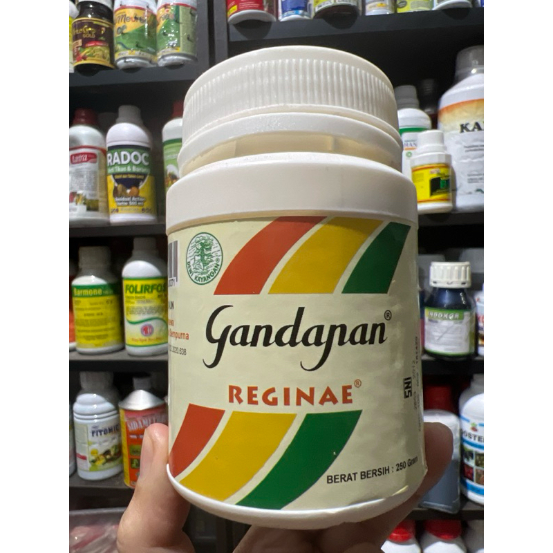 

Gandapan Regina 250gr