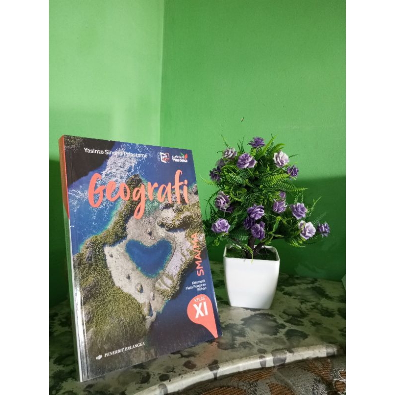 

Geografi SMA/MA kelas XI Kurikulum merdeka erlangga