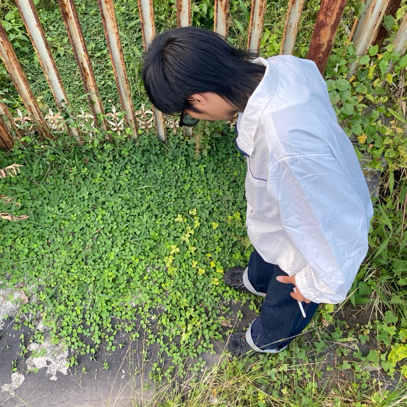 Head Canvas Jacket vintage sergio tacchini not adidas