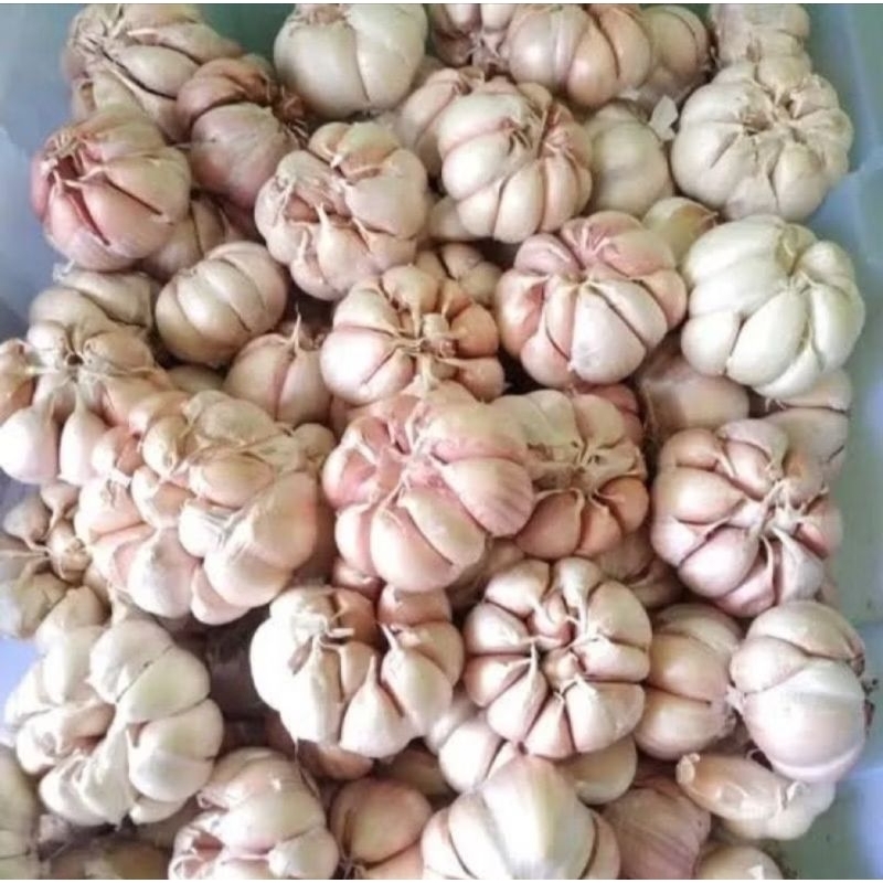 

BAWANG PUTIH KERING KEMASAN 500 gram / ¹/2 kilo