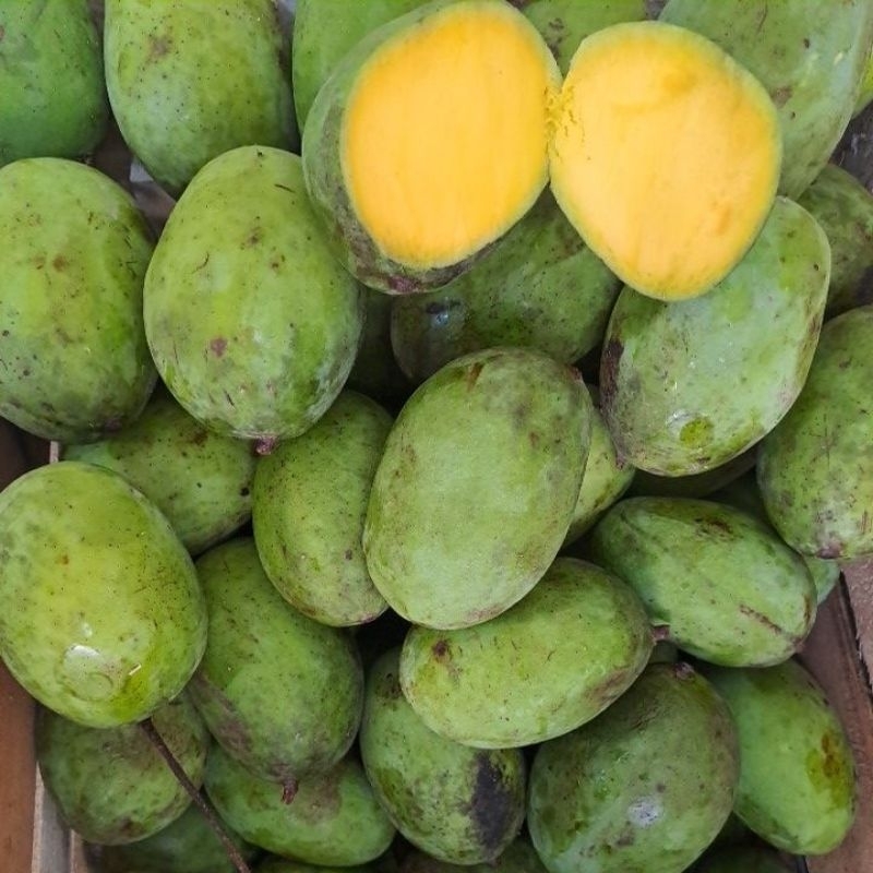 

Mangga Kweni (1kg)
