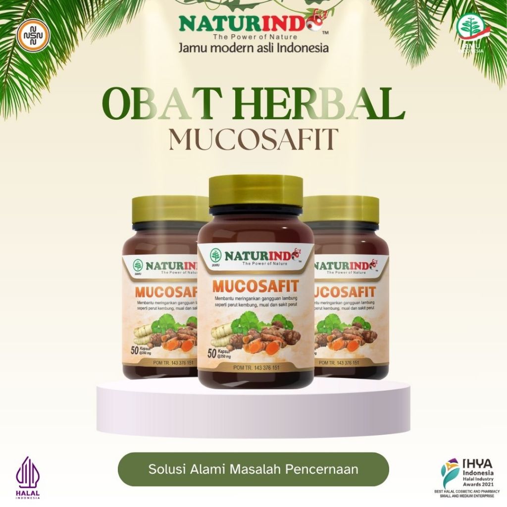 

obat herbal asam lambung tukak lambung magg lambung kronis ampuh MUCOSAFIT