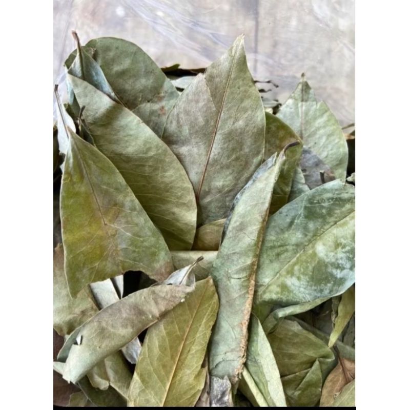 

Daun sirsak kering•untuk kesehatan kulit•anti penuaan•masalah rambut•mengobati kutu kepala•pengobatan kanker•mengobati osteoporosis,sakit punggung dan penyakit rematik lainnya•asam urat•mengobati bisul•mengobati anemia•mengobati hipertensi•dll