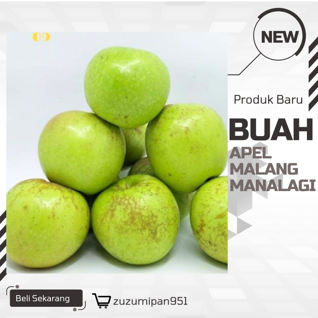 

Apel Malang Mini Manalagi - Segar dan Nikmat||1 kg isi 18-20 biji(cocok untuk jus atau salad buah)