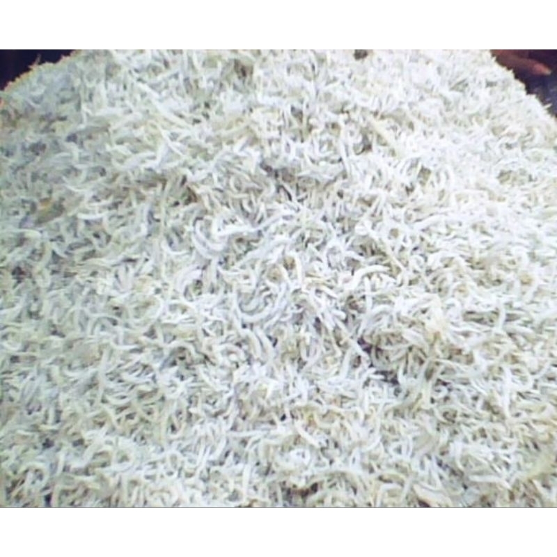 

Ikan Teri Nasi Premium Medan Tauge 500 gr