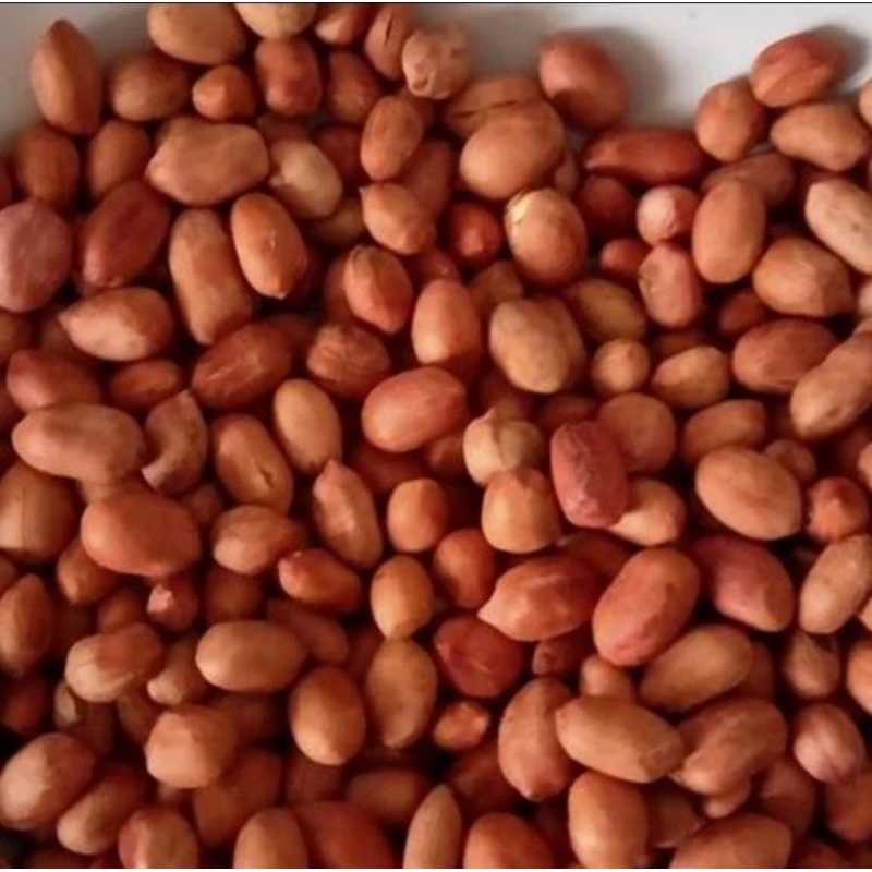 

Kacang Tanah Impor Matang Sangrai/Tanpa Minyak