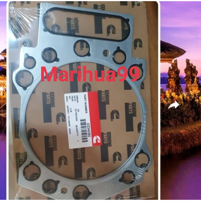 4334080 gasket head mobil kta 19 kta38 kta50