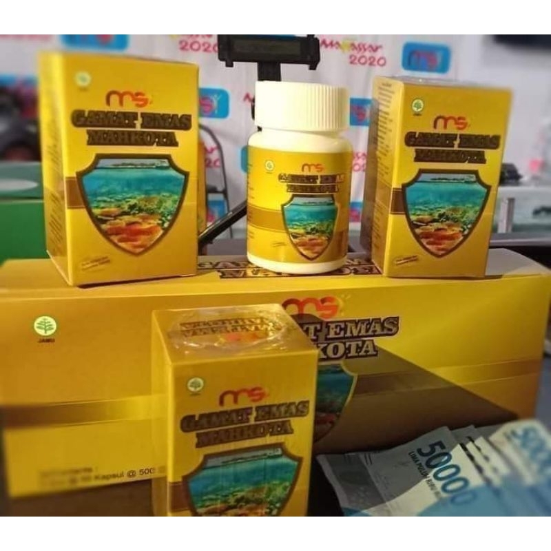 Gamat teripang MSI