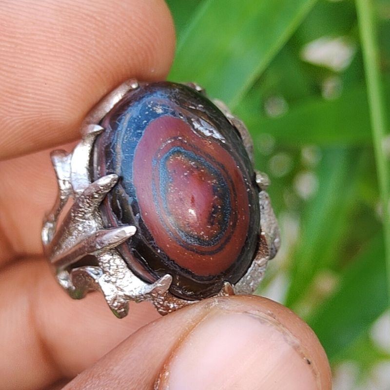 natural akik puser bumi ati ayam badar Meksiko