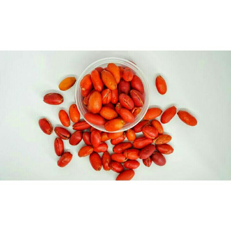 

Kulit Melinjo Segar 1 Kg