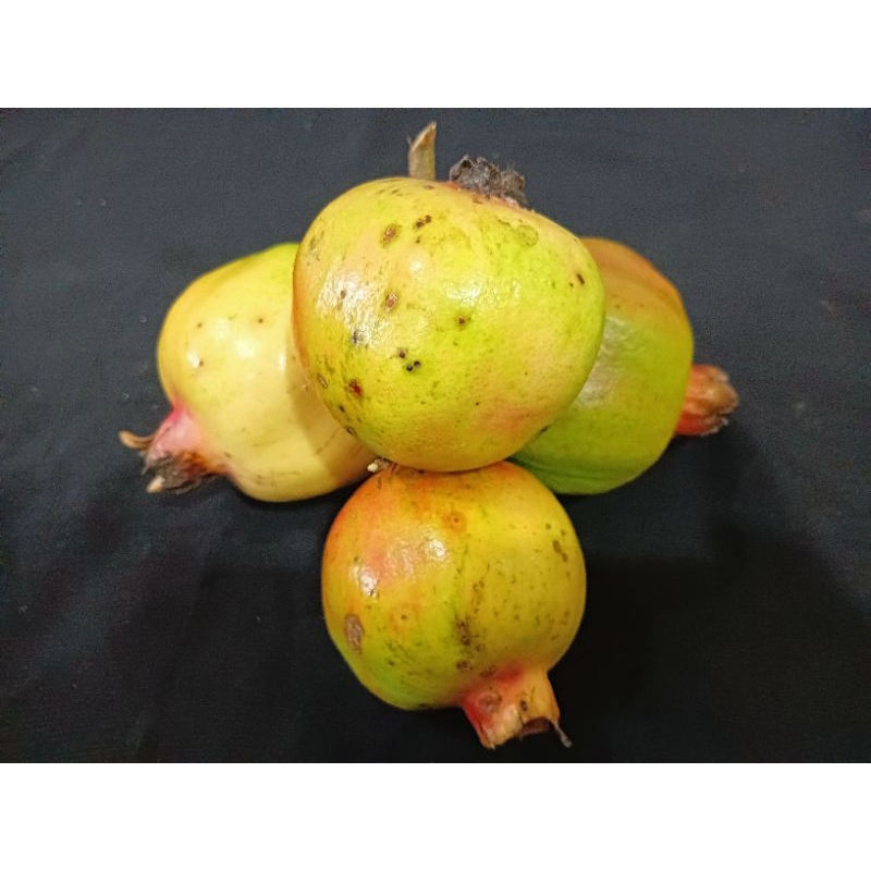 

buah delima merah asli muria delimo merah buahpome pomegranate buah promil