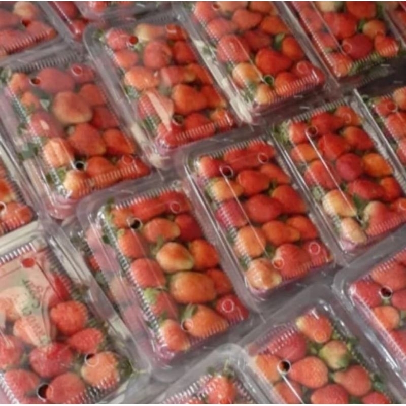 

Strawberry Lokal Fresh