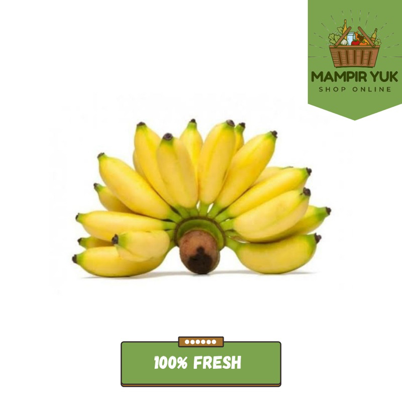 

Pisang muli/sisir | mampiryuk
