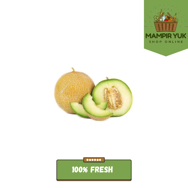 

Melon rock/buah | mampiryuk