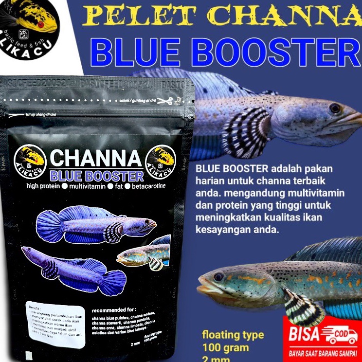 Model Favorit  CHANNA BLUE BOOSTER  setara pelet premium 88  pelet ikan channa blue pulchra blue orn