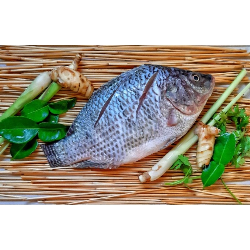 

ikan nila/ bale kamboja/pasar daya/ lelong daya