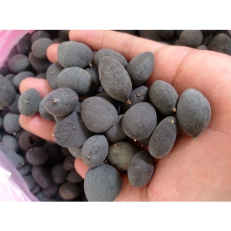 

BUAH KRANJI ASAM MANIS SUPER 1KG/buah kanji PREMIUM