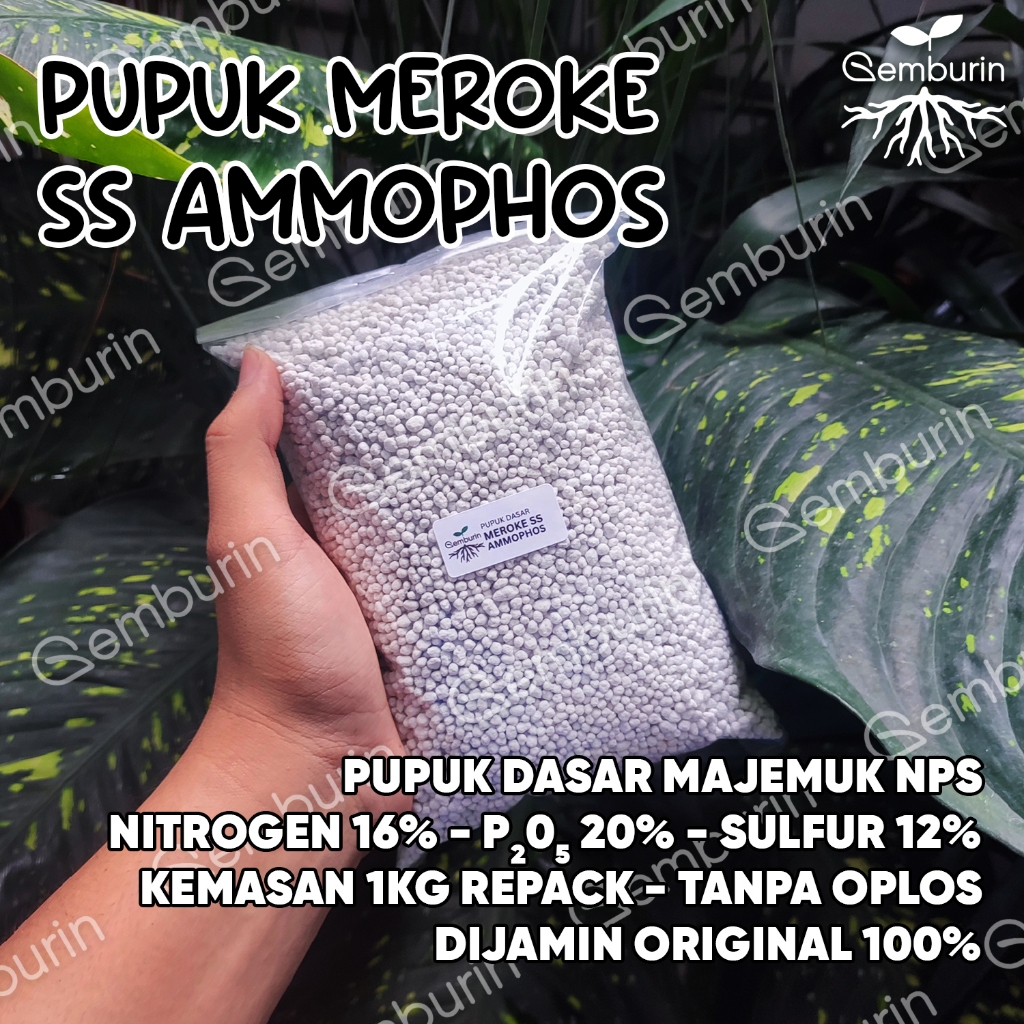 Pupuk Meroke SS Ammophos 1 kg Kemasan REPACK / Pupuk Majemuk / Asli Original Murah / SS Amophos Amop