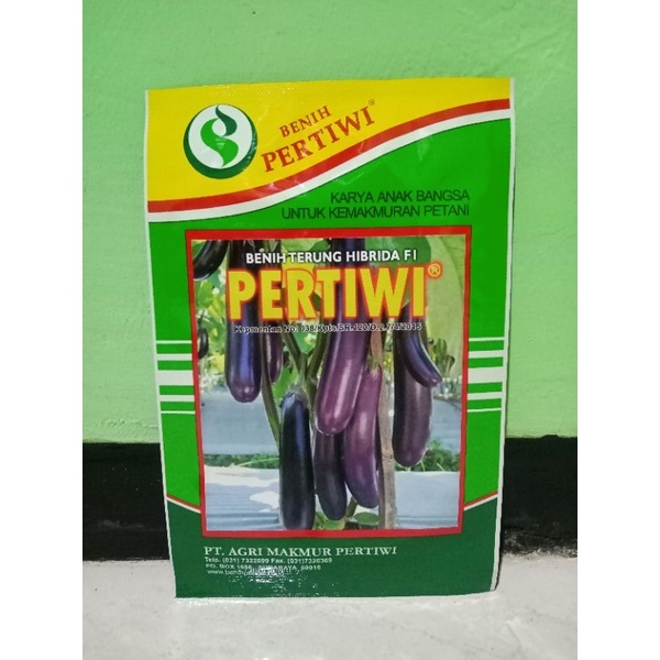 BENIH TERONG UNGU BIBIT TERONG PERTIWI KEMASAN 10 GRM