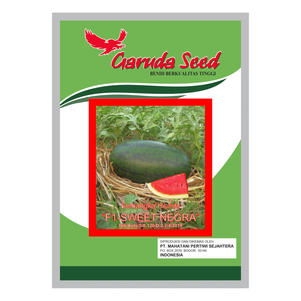 Benih Semangka Inul Merah SWEET NEGRA 10gr - Bibit Semangka Non Biji Kemasan Original Pabrik Garuda 