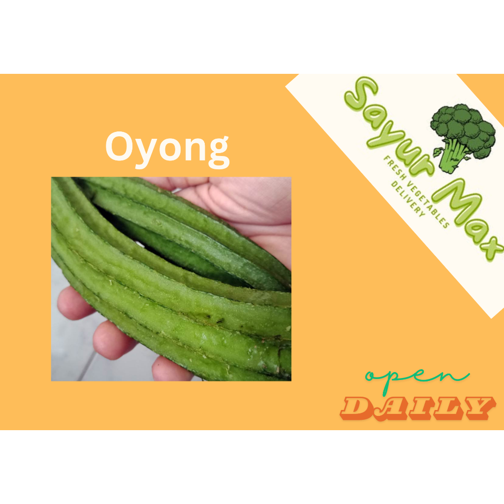 

Oyong Segar