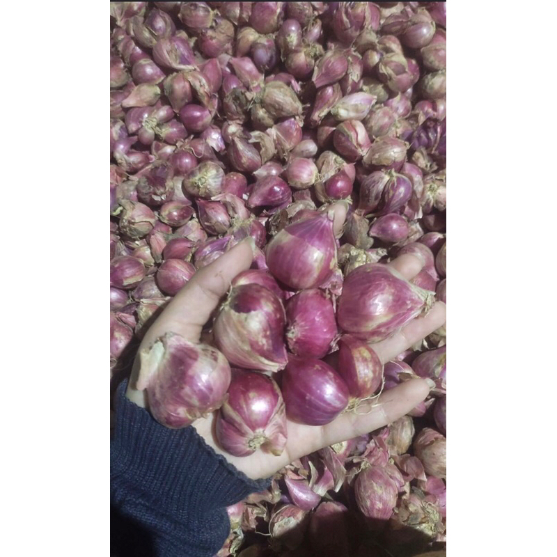 

Bawang