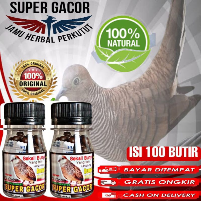 JAMU PERKUTUT SUPER GACOR obat malas bunyi cepat gacor ampuh jamu perkutut thailan bangkok dan lokal