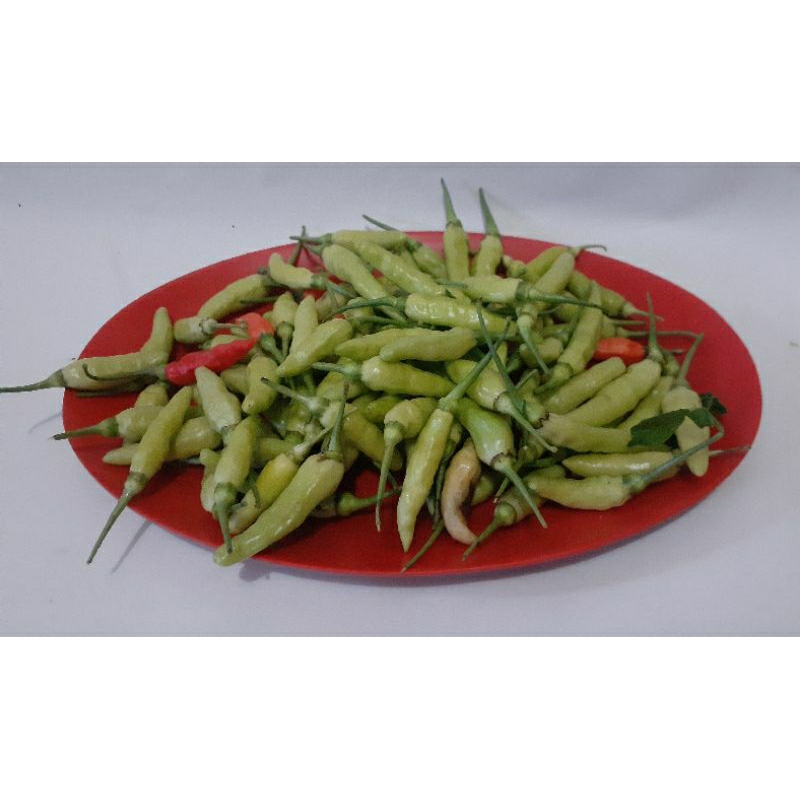 

cabai rawit cabai lokal 250 grm