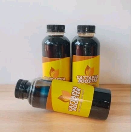 Extrak Ketapang Laut Fermentasi Cattapa Booster
